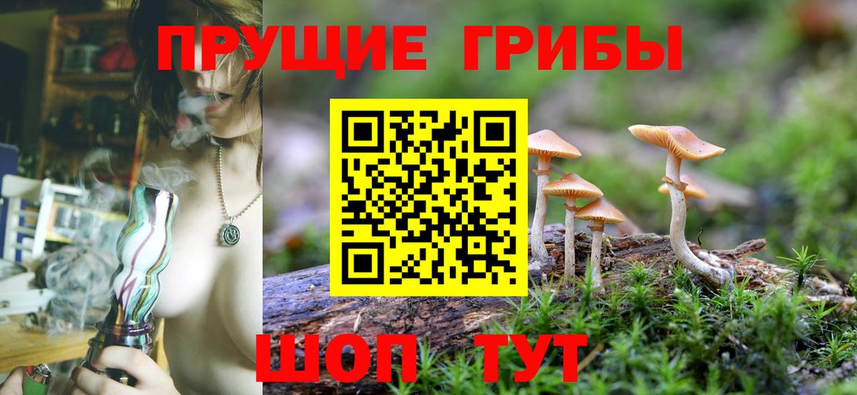 Галлюциногенные грибы GOLDEN TEACHER Чита